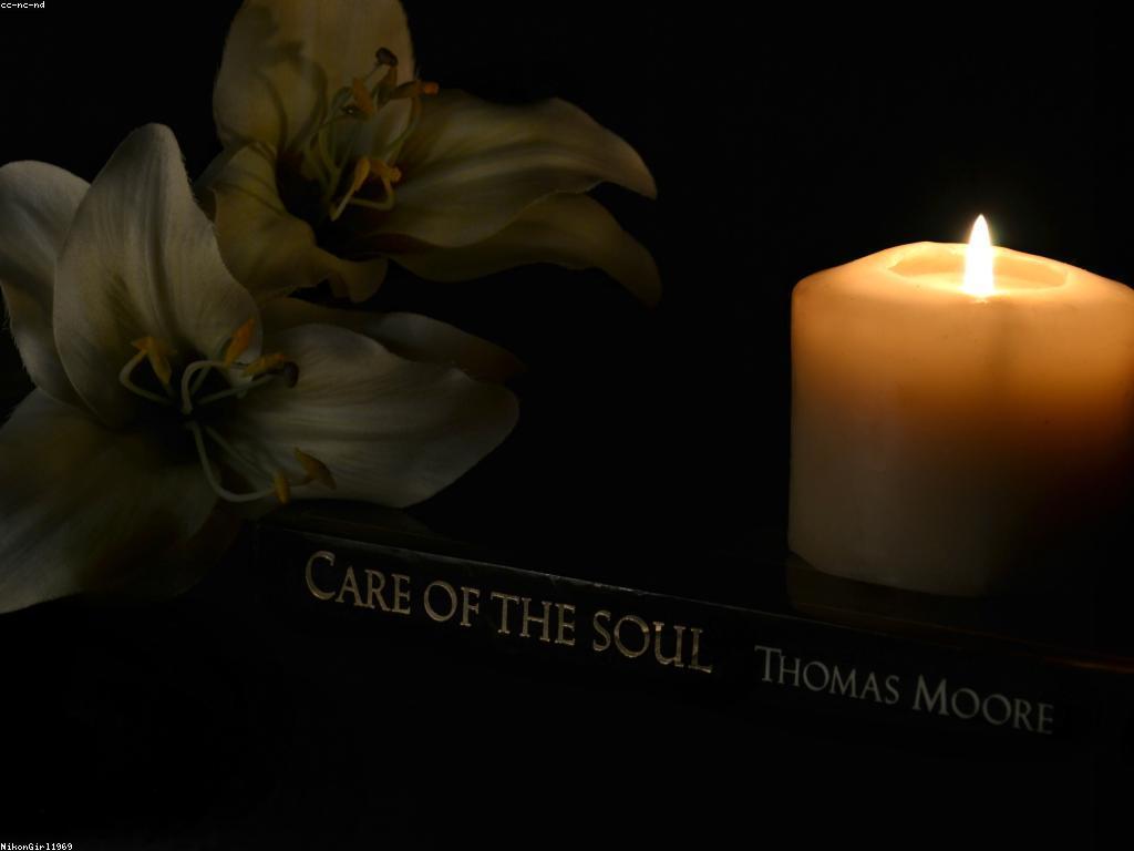 វិធីសាស្រ្តមានប្រសិទ្ធភាពសម្រាប់ជីវិតសុខភាព