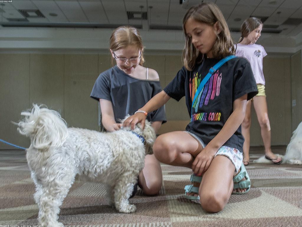 វិធីសាស្រ្តមានប្រសិទ្ធភាពសម្រាប់ការគ្រប់គ្រងភាពតានតឹង